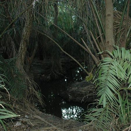 Pantanal Ranch Meia Lua Acomodação com café da manhã Miranda Exterior foto