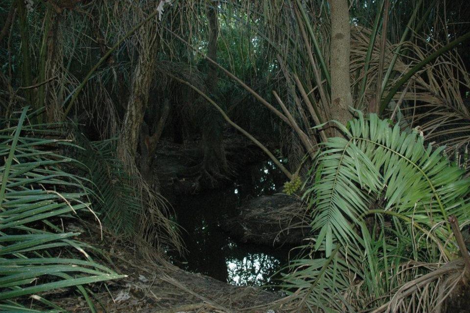 Pantanal Ranch Meia Lua Acomodação com café da manhã Miranda Exterior foto