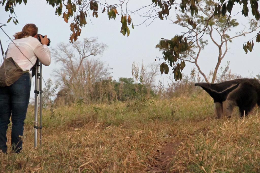 Pantanal Ranch Meia Lua Acomodação com café da manhã Miranda Exterior foto