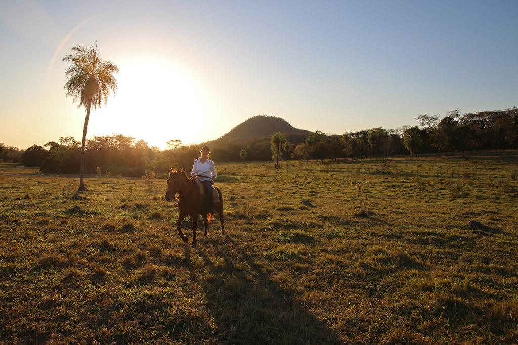 Pantanal Ranch Meia Lua Acomodação com café da manhã Miranda Exterior foto