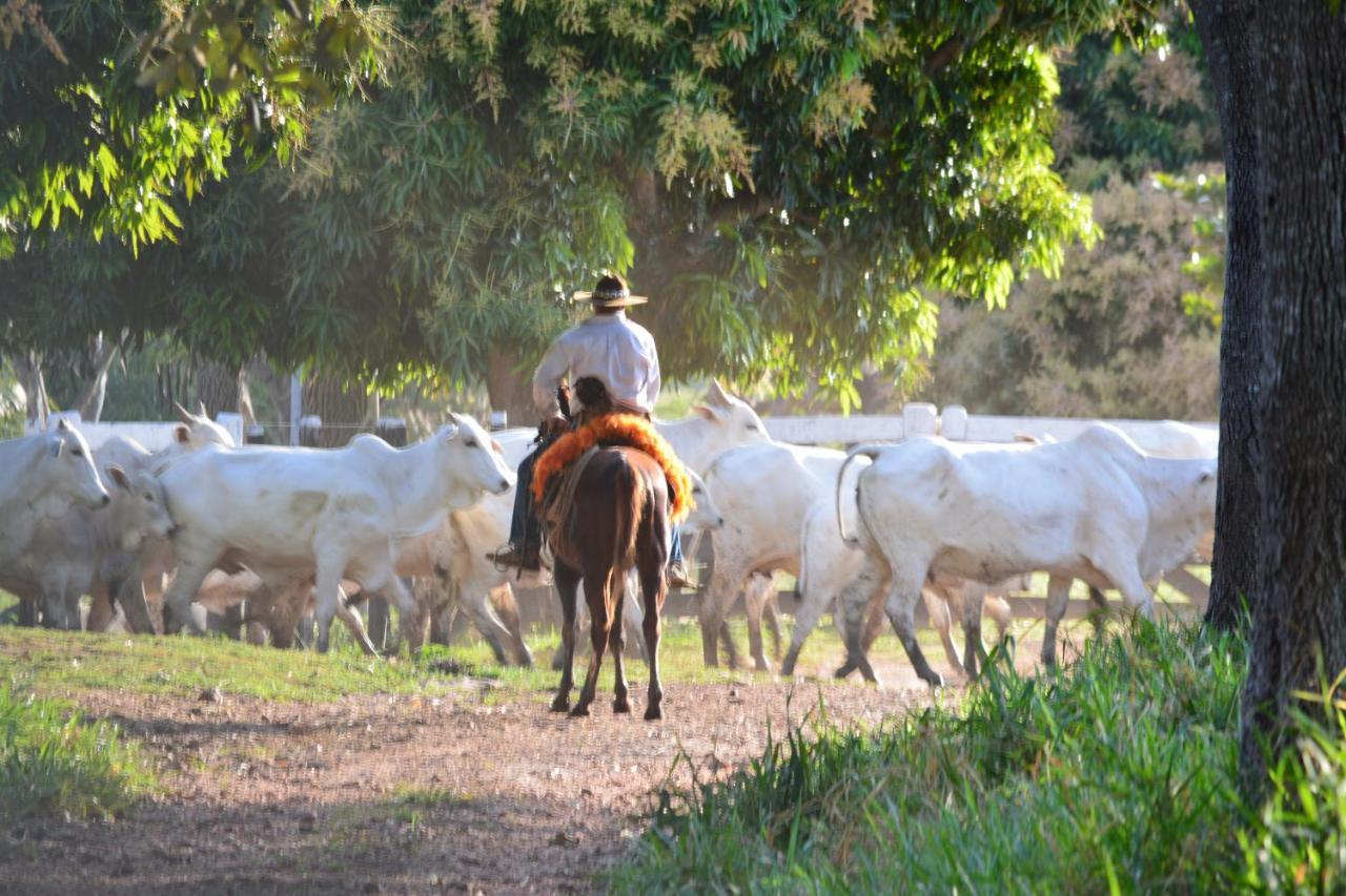 Pantanal Ranch Meia Lua Acomodação com café da manhã Miranda Exterior foto