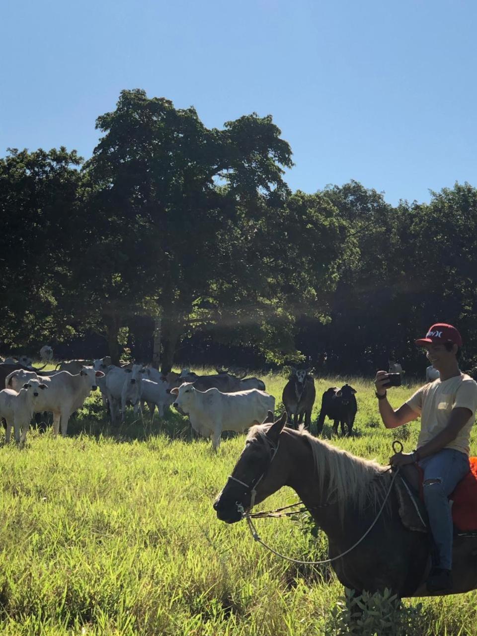 Pantanal Ranch Meia Lua Acomodação com café da manhã Miranda Exterior foto